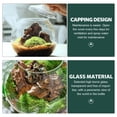 thumbnail image 6 of Oraceous Transparent Glass Planter Jars Terrarium Containers for Indoor Plants, , Landscaping and Home Decor, 6 of 11