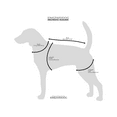thumbnail image 4 of Oktoberfest German Dog Lederhosen Outfit Costume MEDIUM by EINSZWEIDOG, 4 of 13