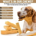 Prime Pet Food Yak Cheese Himalayan Dog Chews Long Lasting 5 Medium