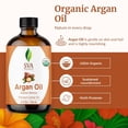 thumbnail image 4 of SVA Argan Oil Organic - 4 Fl Oz – 100% Natural Cold Pressed Organic Argan Oil - for Face, Skin Care, Hair Care, Scalp Massage & Body Massage – Carrier Oil with Dropper, 4 of 8