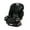 Tomlin, variant on Graco 4Ever® DLX SnugLock® 4-in-1 Car Seat