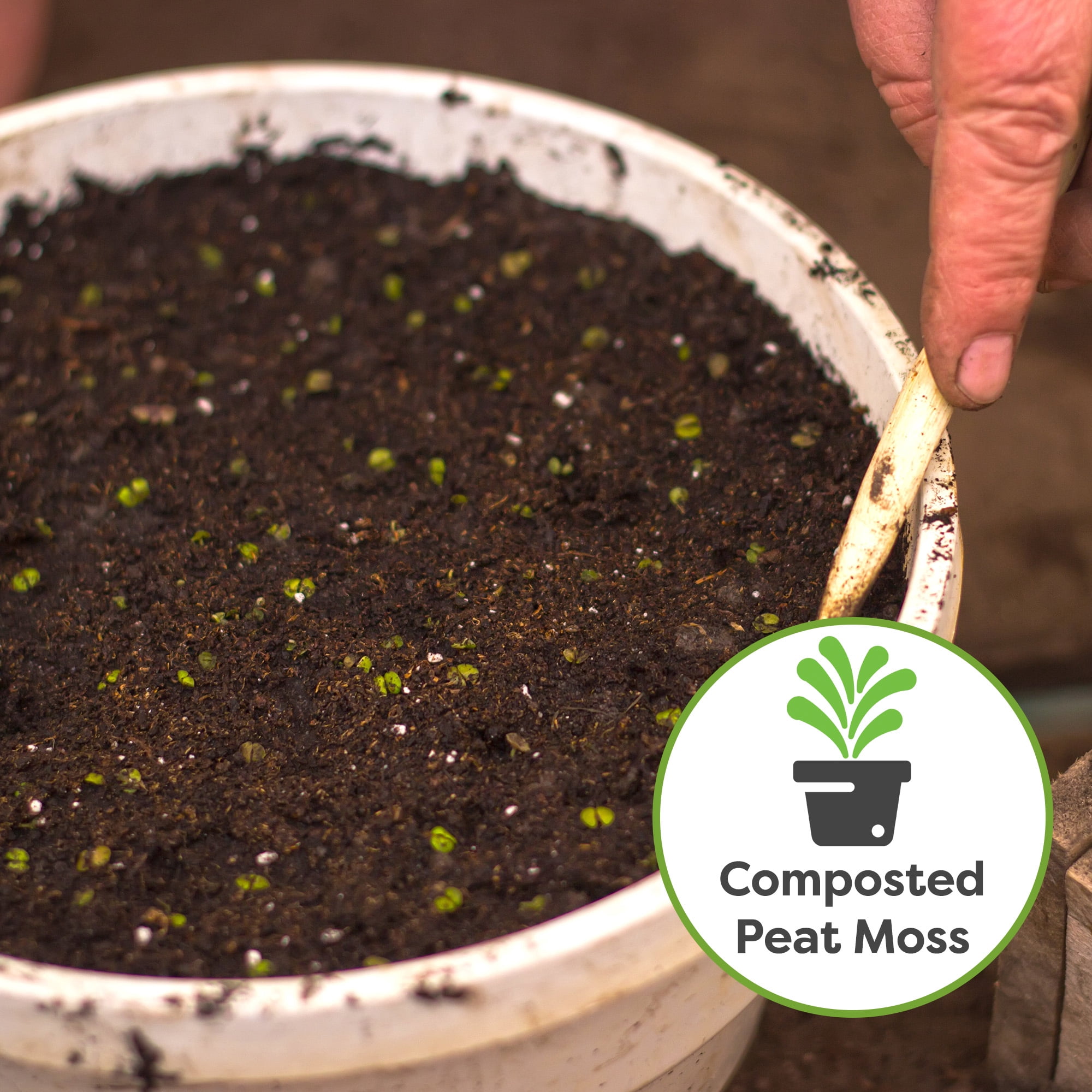 Organic Seed Starter Soil Mix 8qt., Perfectly Balanced Seed Sprouting Medium, Contains Worm Castings and Mycorrhizae