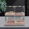 4 Grids Pet Reptile Breeding Box Insect Spider Frog Feeding Tank Acrylic Cage