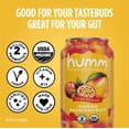 thumbnail image 3 of Humm Kombucha, Let's Get Started Sampler Pack, 18 Pack, 12 oz Cans, 3 of 6