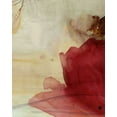 thumbnail image 2 of PI Galerie 12x14 Gold Ornate Wood Framed with Double Matting Museum Art Print Titled - Alcoves Unguessed I, 2 of 4