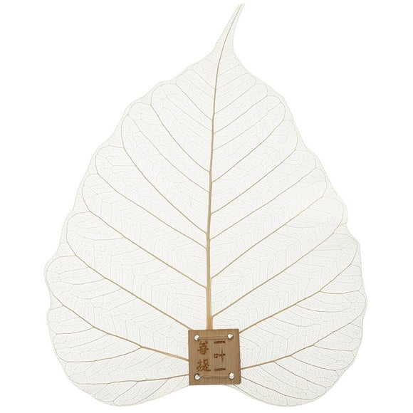 EeaseMX Infusor de té con forma de hojas, filtro de té de hoja de lima, accesorios para juego de té Kung Fu