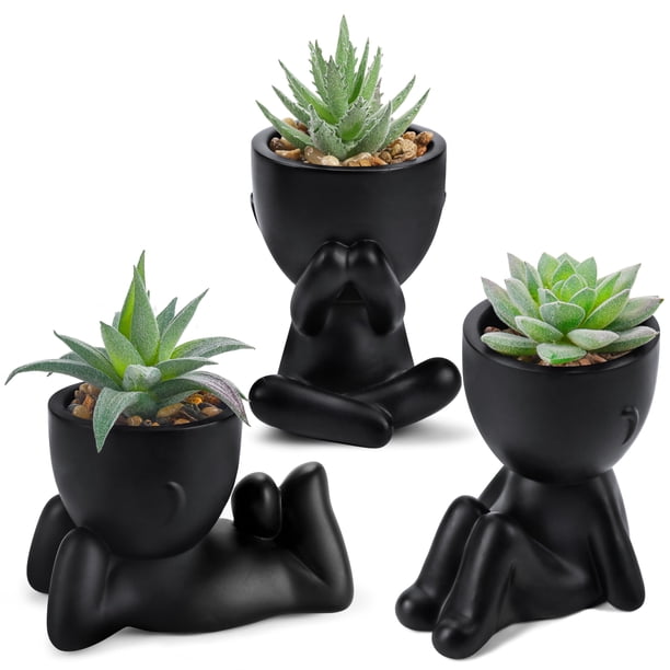 Set de plantas suculentas artificiales con macetas negras, 3 unidades