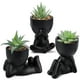thumbnail image 1 of Set de plantas suculentas artificiales con macetas negras, 3 unidades, 1 of 6