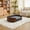 Dark Gray + Walnut, variant on Noble House Scandinavian Elevated Large Dog Bed, Pet Sofa with Solid Wood Frame, Light Gray and Walnut