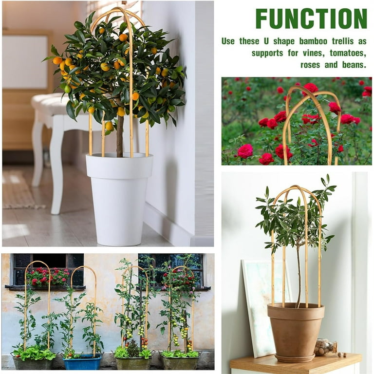 10 Pcs Bamboo House Plant Trellis, NOGIS 16inch Natural U-Hoops Bamboo  Plant Trellis, Plant Support Vines Ivy Plants Flower Tower for Climbing  Potted ...