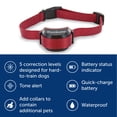 thumbnail image 4 of Valla inalámbrica para mascotas PetSafe Stay & Play para perros testarudos, 4 of 6