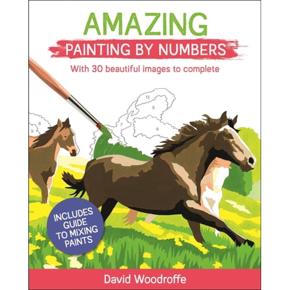 Pre-Owned Sirius Painting by Numbers: Amazing Painting by Numbers: With 30 Beautiful Images to Complete. Includes Guide to Mixing Paints (Paperback)