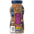 PLANTERS Dry Roasted Bold & Savory Peanuts, Party Snacks, PlantBased