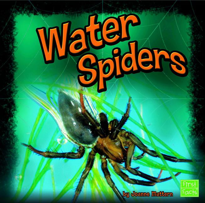 Water Spider Set in 2 Clear Small Resin Block Education Aid TE1S2 Spiny Spider 