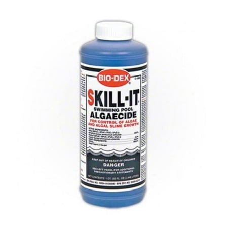 Biodex SK132 1 qt Fast Acting Pool Algaecide Skill-It