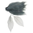 thumbnail image 1 of 100pcs Dried Magnolia Skeleton Leaves Scrapbook Embellishment DIY Bookmarks, 1 of 8