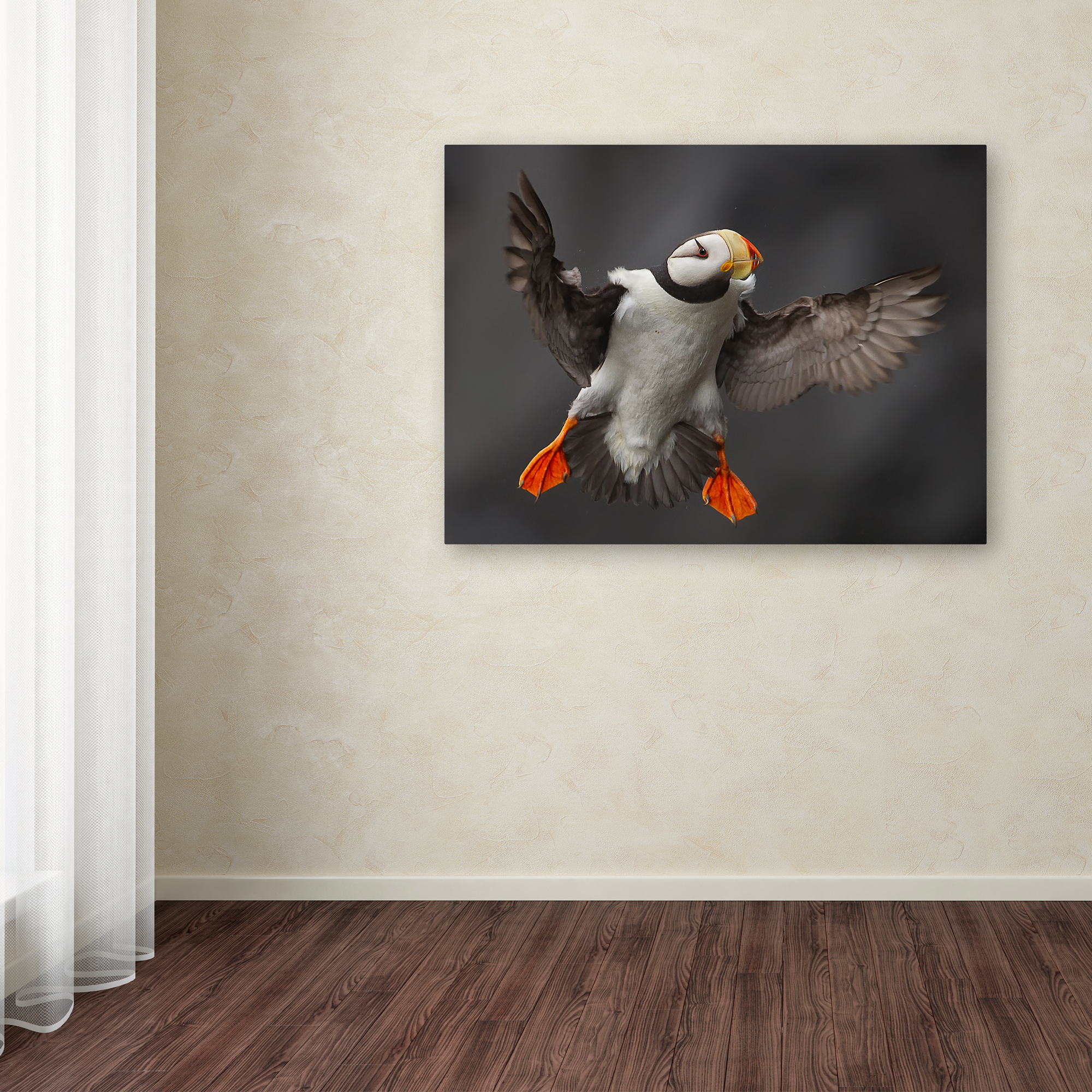 Trademark Fine Art 'Full Flaps' Canvas Art by Alfred Forns
