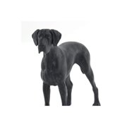 Safari Ltd. Great Dane Figurine - Majestic 5 Dog Figure for Boys, Girls & Kids Ages 3+