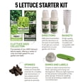 thumbnail image 2 of Lettuce Hydroponic Growing Kit, 2 of 7