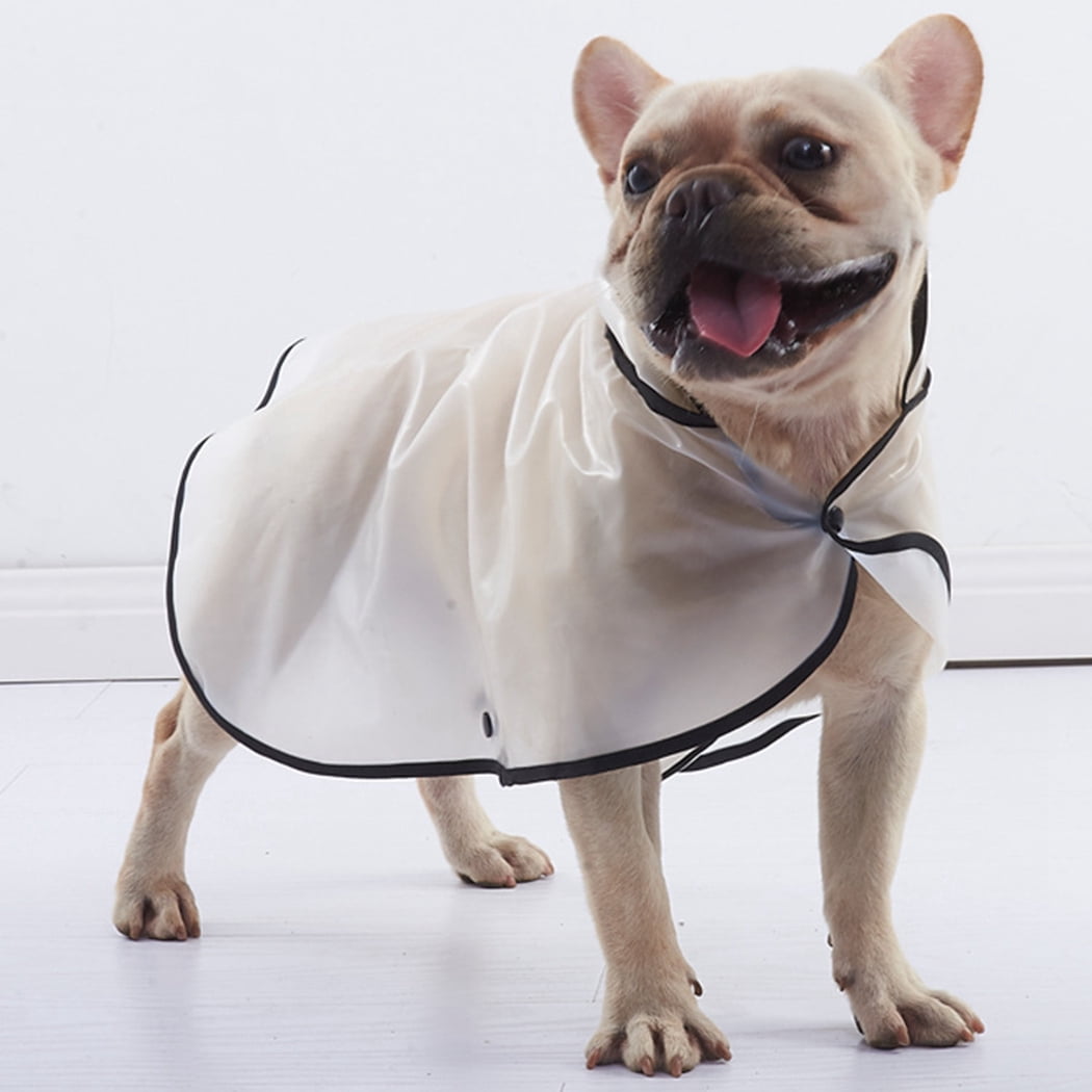 raincoat for small dogs