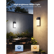 Govee Outdoor Wall Light 2 pack