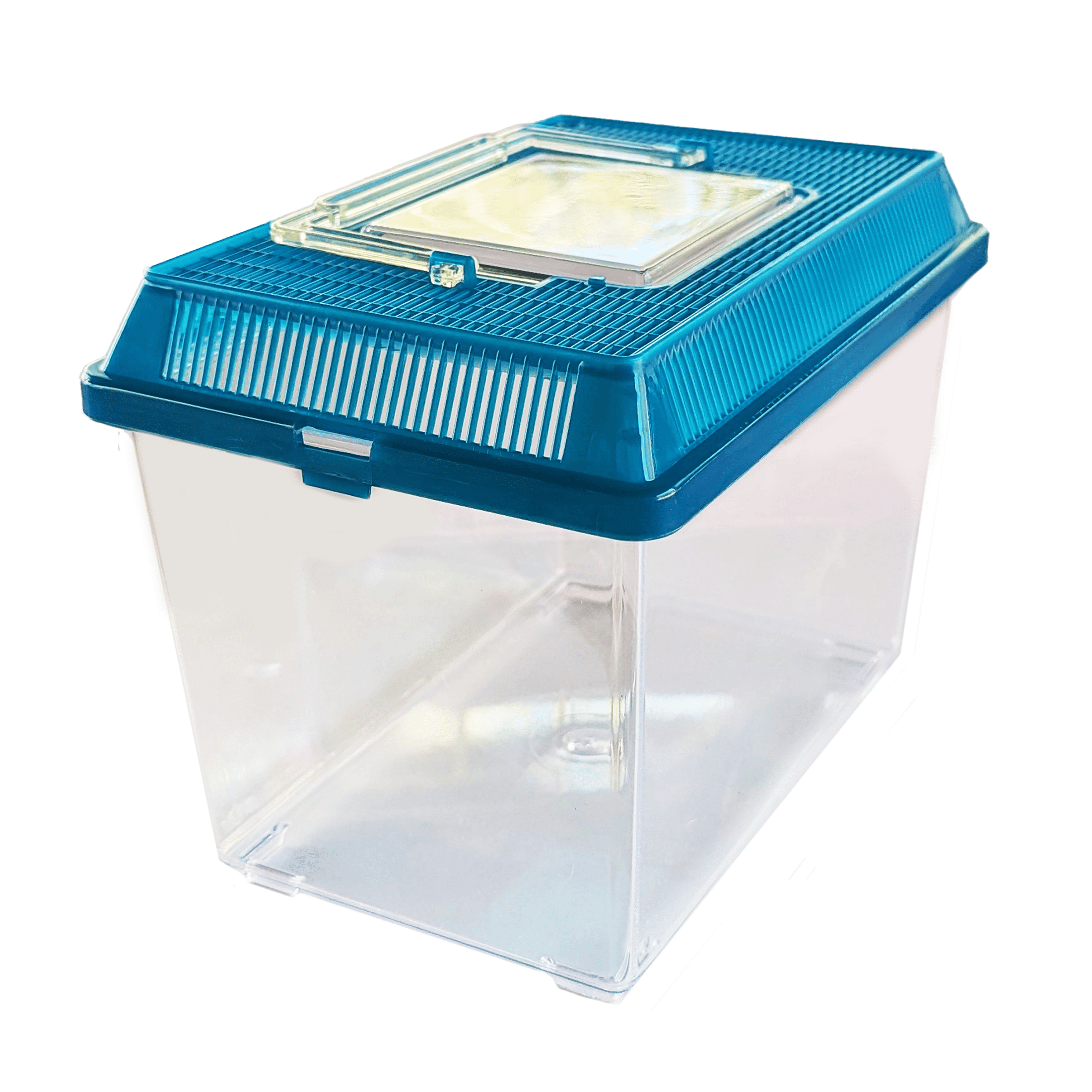 Vibrant Life Small Pet Carrier