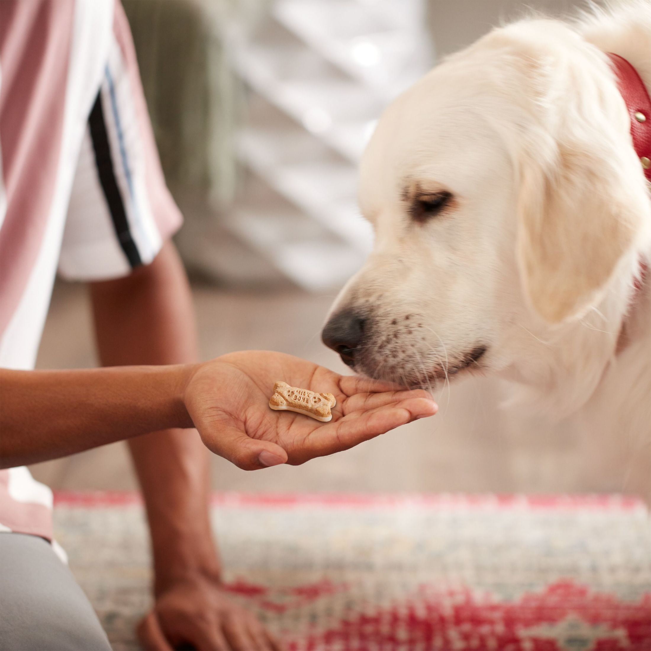 (4 pack) Milk Bone Dipped Dog Biscuits Baked With Vanilla Yogurt, 12 oz
