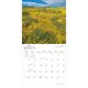 California National Parks 2023 Wall Calendar 12x12 by Browntrout