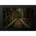 thumbnail image 2 of Mendoza, Chencho 24x17 Black Modern Framed Museum Art Print Titled - The Way To The Forest, 2 of 5