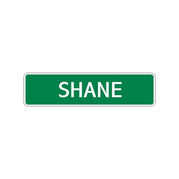 Shane Boys Children Name Letter Printed Label Indoor Outdoor Novelty Wall Plaque Decoration Aluminum Sign 4"x13.5"