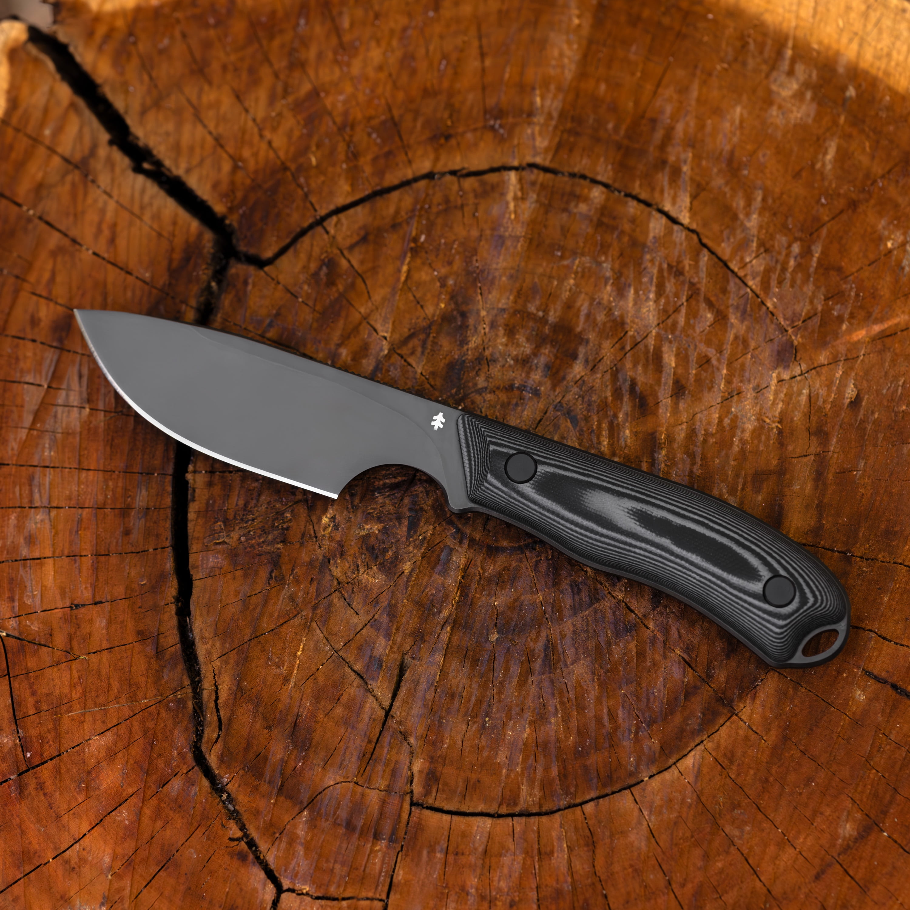 Swiss Tech Halten Fixed Blade, AUS-8, G10 Handle, Full Tang, 3.85 in Blade