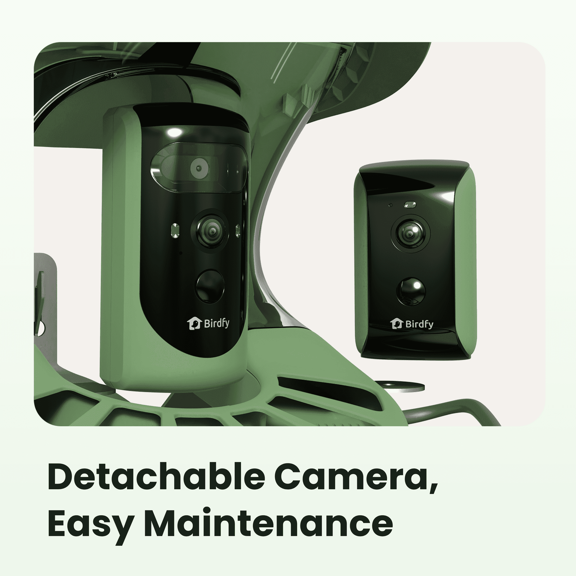 Birdfy Smart Bird Feeder with Camera, 5W Solar Powered, Dual Cameras Auto-Capture Close-Ups & Lifetime Free 99% Accurate AI Bird Identification, Perfect Gift for Bird Lovers