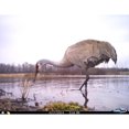 Cuddeback Model E2 Long Range IR Infrared Micro Trail 20MP Game Hunting