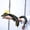 BGO, variant on 47.5inch Large 3D Printed Dragon,Flexible Joint Animal lacertid Figurines, Home Office Decor,Fidget Toy for Adults Teens Boy Festival Gifts,Easter Basket Stuffers,Executive Desk Toy