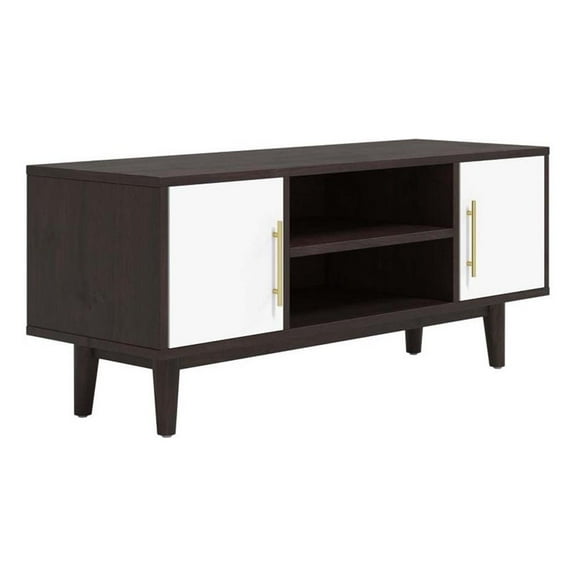 Pemberly Row Wood TV Stand for TVs up to 46" in Cappuccino and White