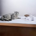 thumbnail image 2 of Cuencos para perros y gatos, cuencos dobles con platos elevados para gatos con una inclinación de 15°, cuencos elevados para mascotas con base de goma antideslizante para gatos o perros, 2 of 6