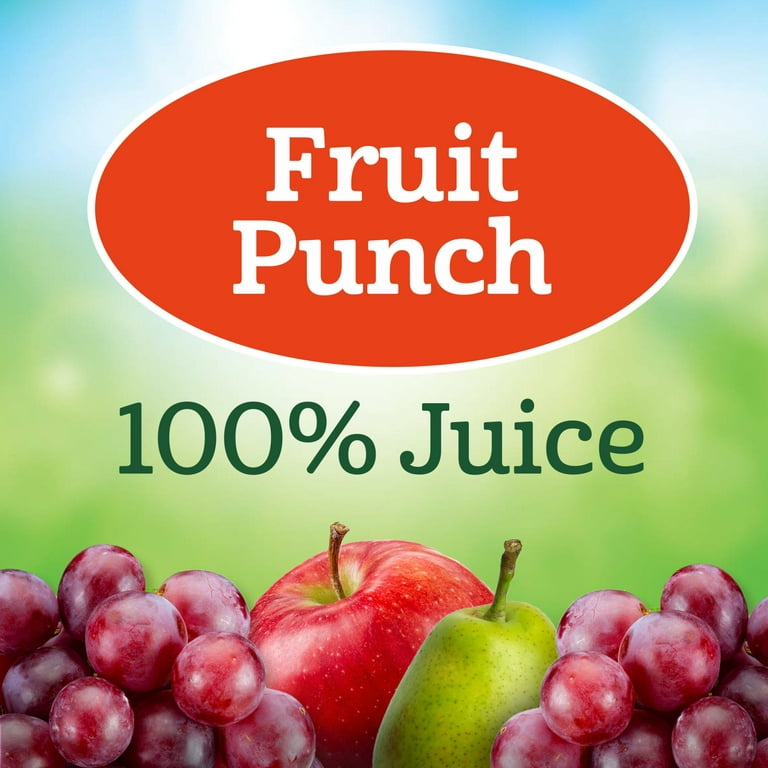 JuiceBlox Aphmau Fruit Punch Juice, 100% Fruit Juice, 6.75 fl oz