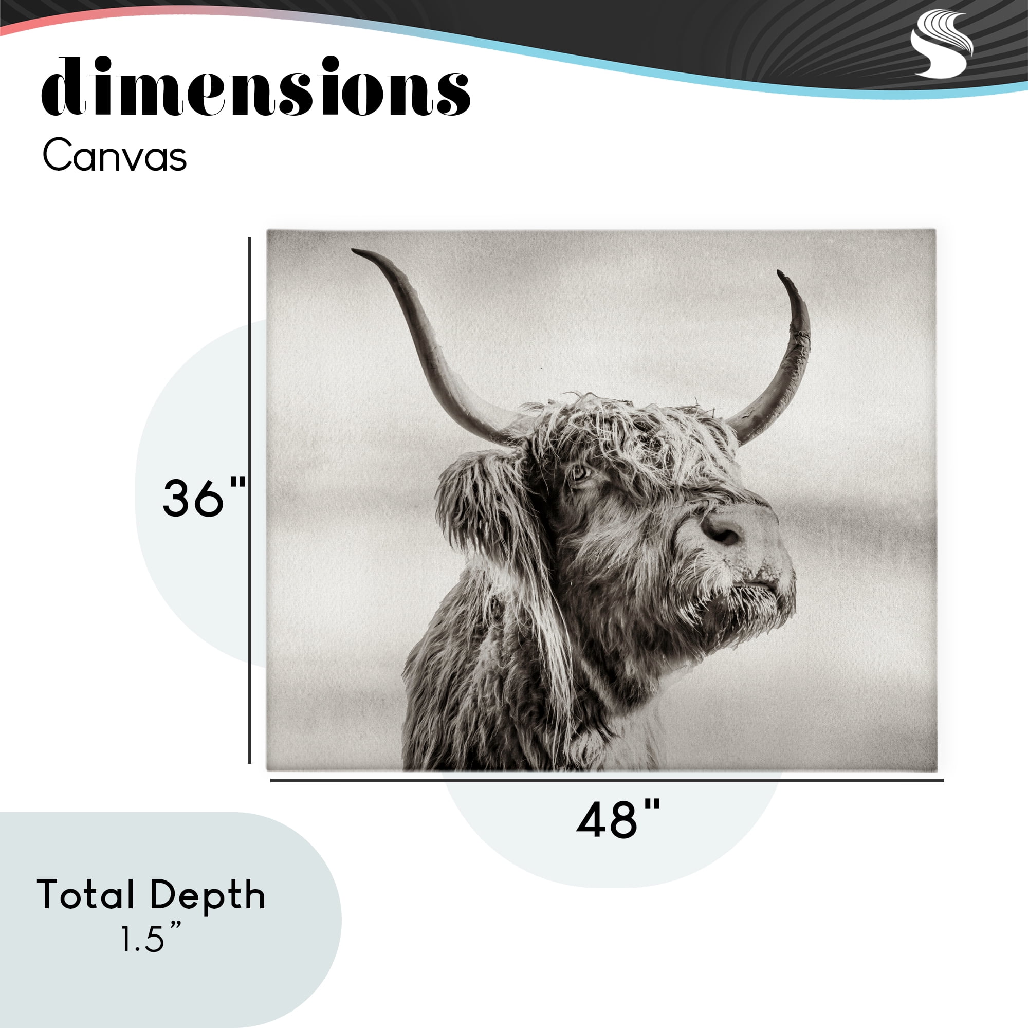 Stupell Industries Horned Highland Cow Gazing Canvas Wall Art, design by Julia Frost