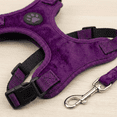 thumbnail image 2 of Pechera para Perro XS con Correa Ajustable – Cómoda y Segura para Cachorros, 2 of 4
