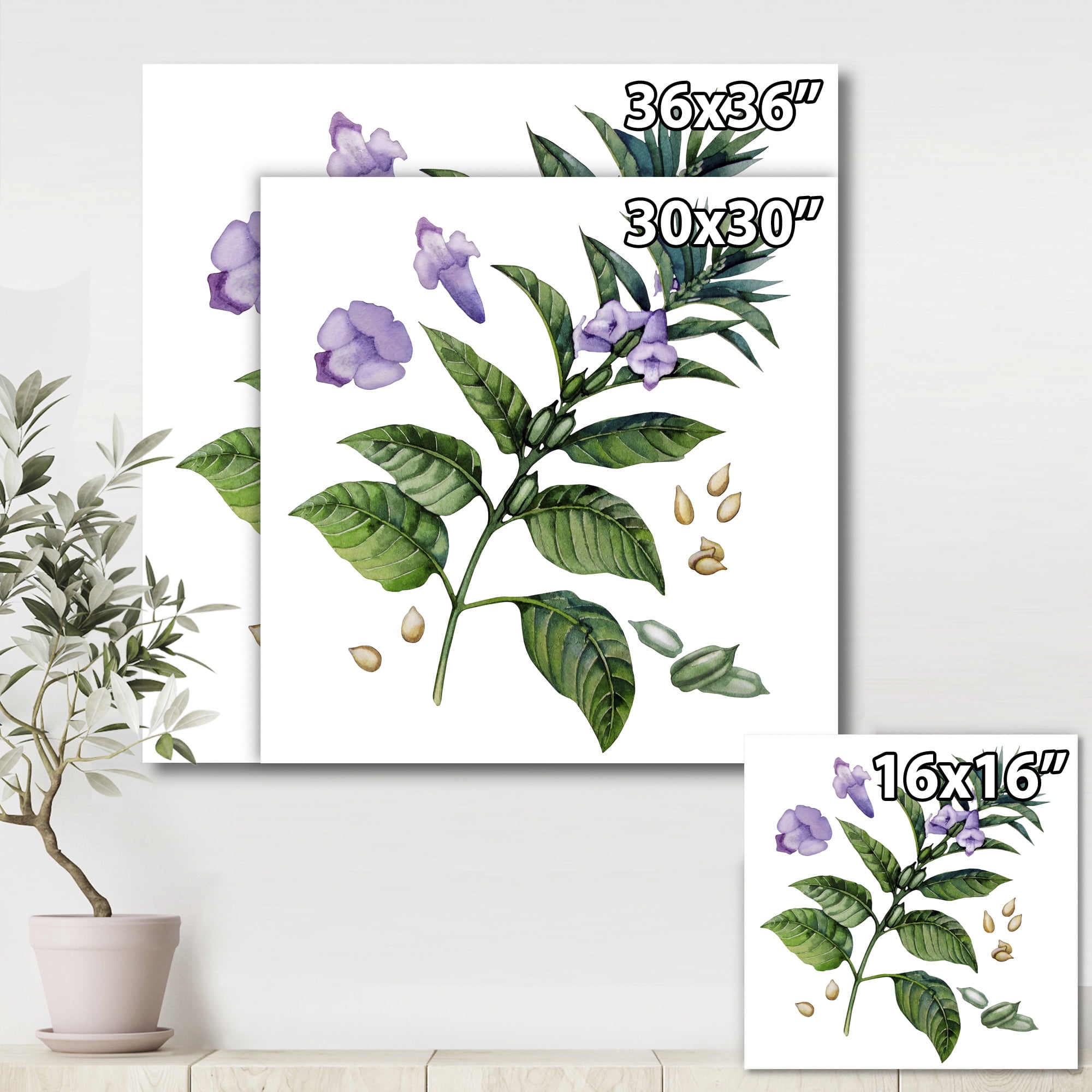 Designart ' Purple Sesame Flowers WIth Green Leaves On White ' Traditional Canvas Wall Art Print