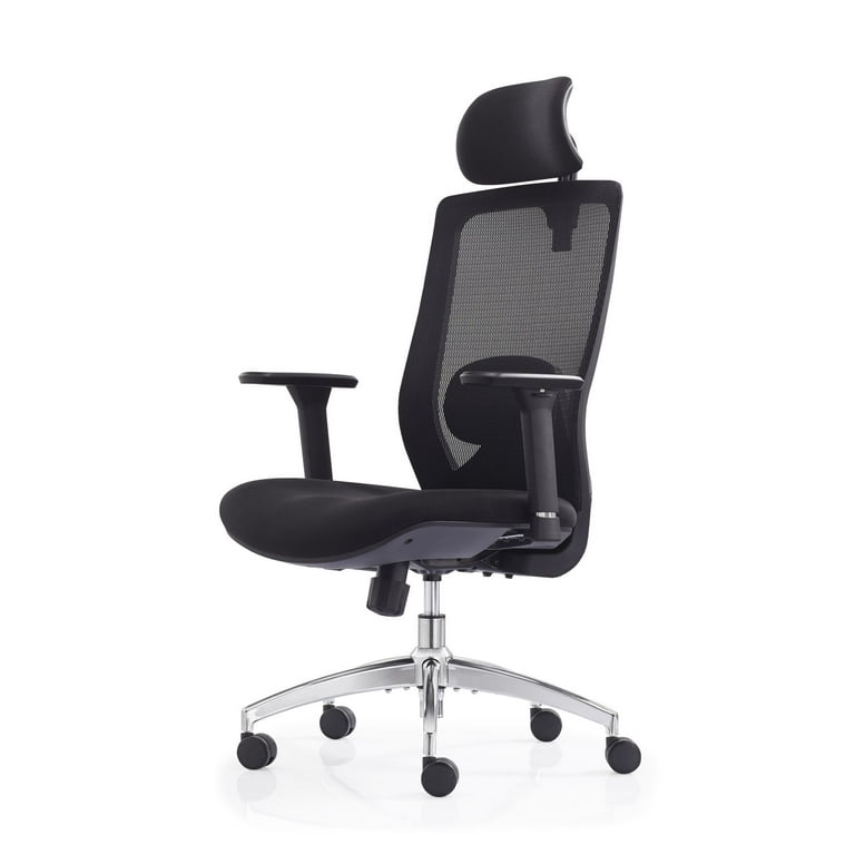 FYLICA Mesh Office Chair, Ergonomic Office Chair with Headrest and  Adjustable Lumbar Support, Desk Chair with Wheels and 3D Armrest, Big and  Tall 