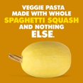 Organic Dried Spaghetti Squash, 1.76 oz, Pack of 6 Real Ingredients