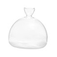 thumbnail image 1 of Florero con brotes de semillas de aguacate, de de semillas de vidrio, florero de vidrio transparente para accesorios de escritorio, 1 of 8