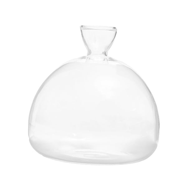 Florero con brotes de semillas de aguacate, de de semillas de vidrio, florero de vidrio transparente para accesorios de escritorio
