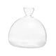 thumbnail image 1 of Florero con brotes de semillas de aguacate, de de semillas de vidrio, florero de vidrio transparente para accesorios de escritorio, 1 of 8