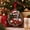 New Style A, variant on Cififendec Christmas 2D Acrylic Money Holder Hanging Ornament, 5.91", Cute Animal Pattern Cash Holder Pendant for Xmas Tree Hanging Display