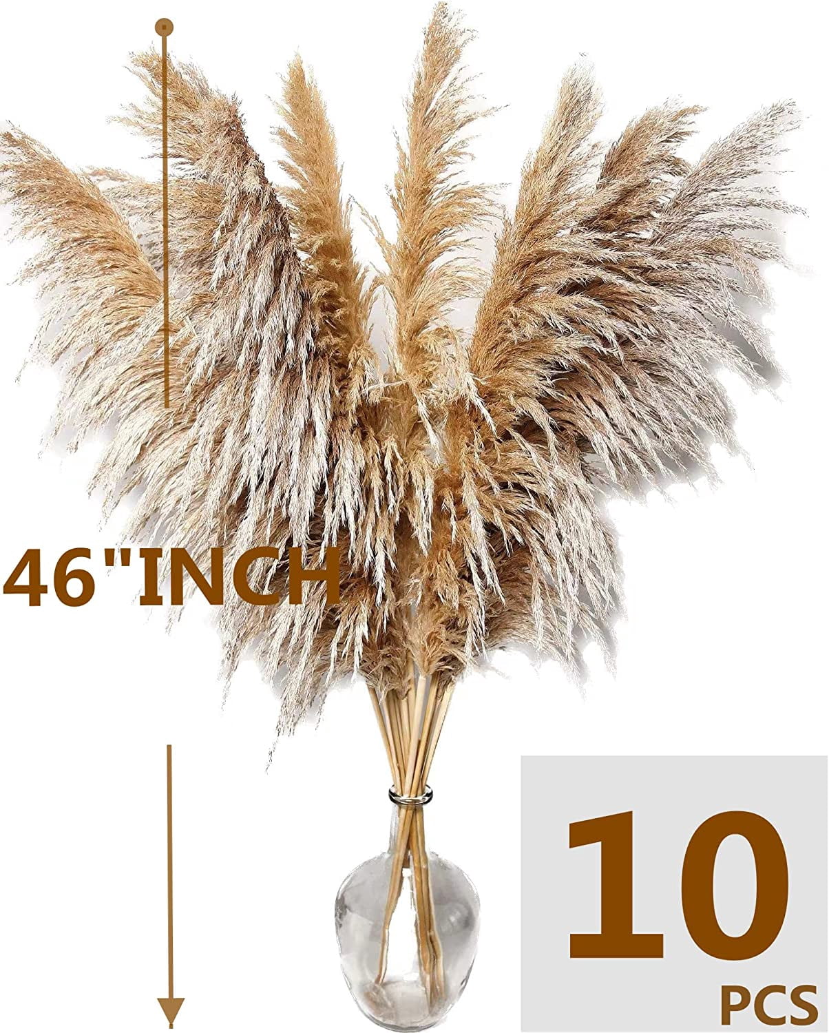 46" inch 10 Stems Natural Pampas Grass Decor Tall, Pompas Grass, Tall Pampas Grass for Weddingm, Farmhouse,  Home Decor (Brown)