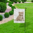 thumbnail image 5 of SKYSONIC British Kitten Isolated on White Double Side Print Garden House Sports Flag 12x18 in Polyester Decorative Flag Banner for Outside House Flowerpot, 5 of 7