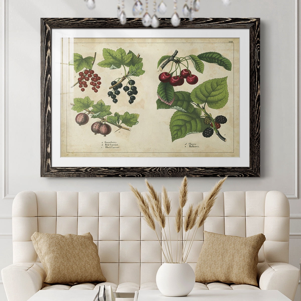 Kitchen Fruits III-Premium Framed Print - Ready to Hang