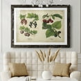 thumbnail image 5 of Kitchen Fruits III-Premium Framed Print - Ready to Hang, 5 of 7